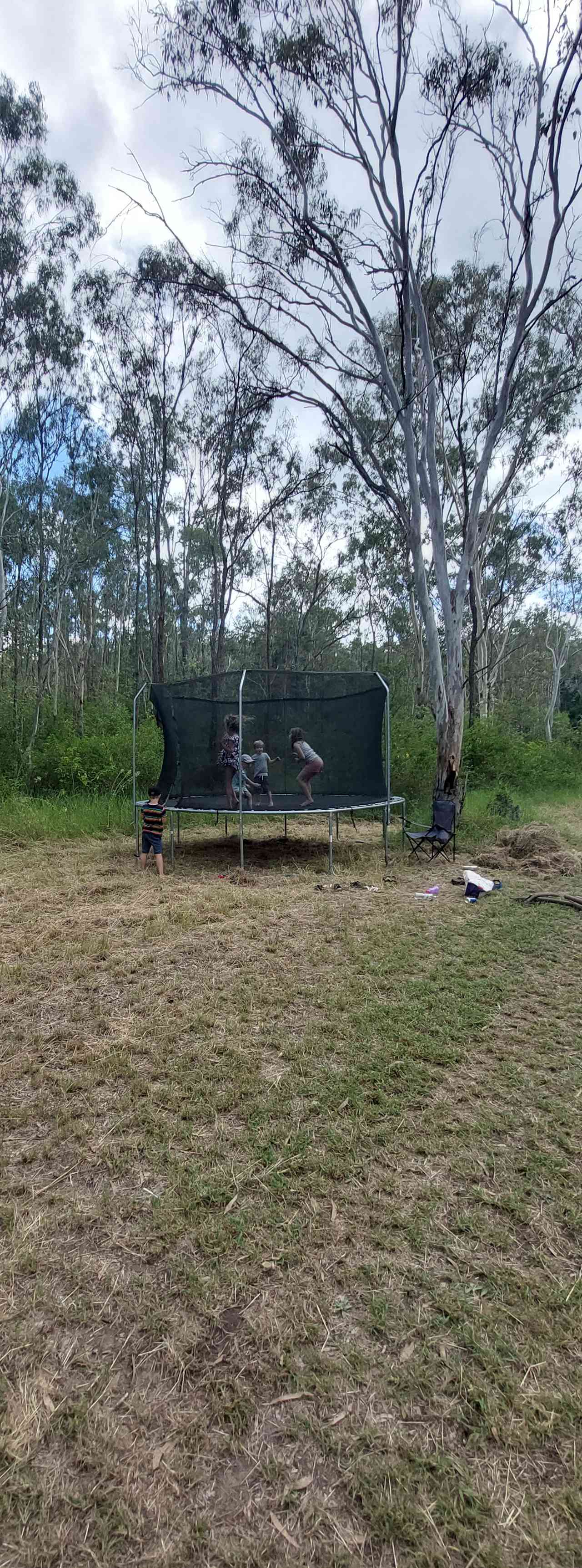 Trampoline!