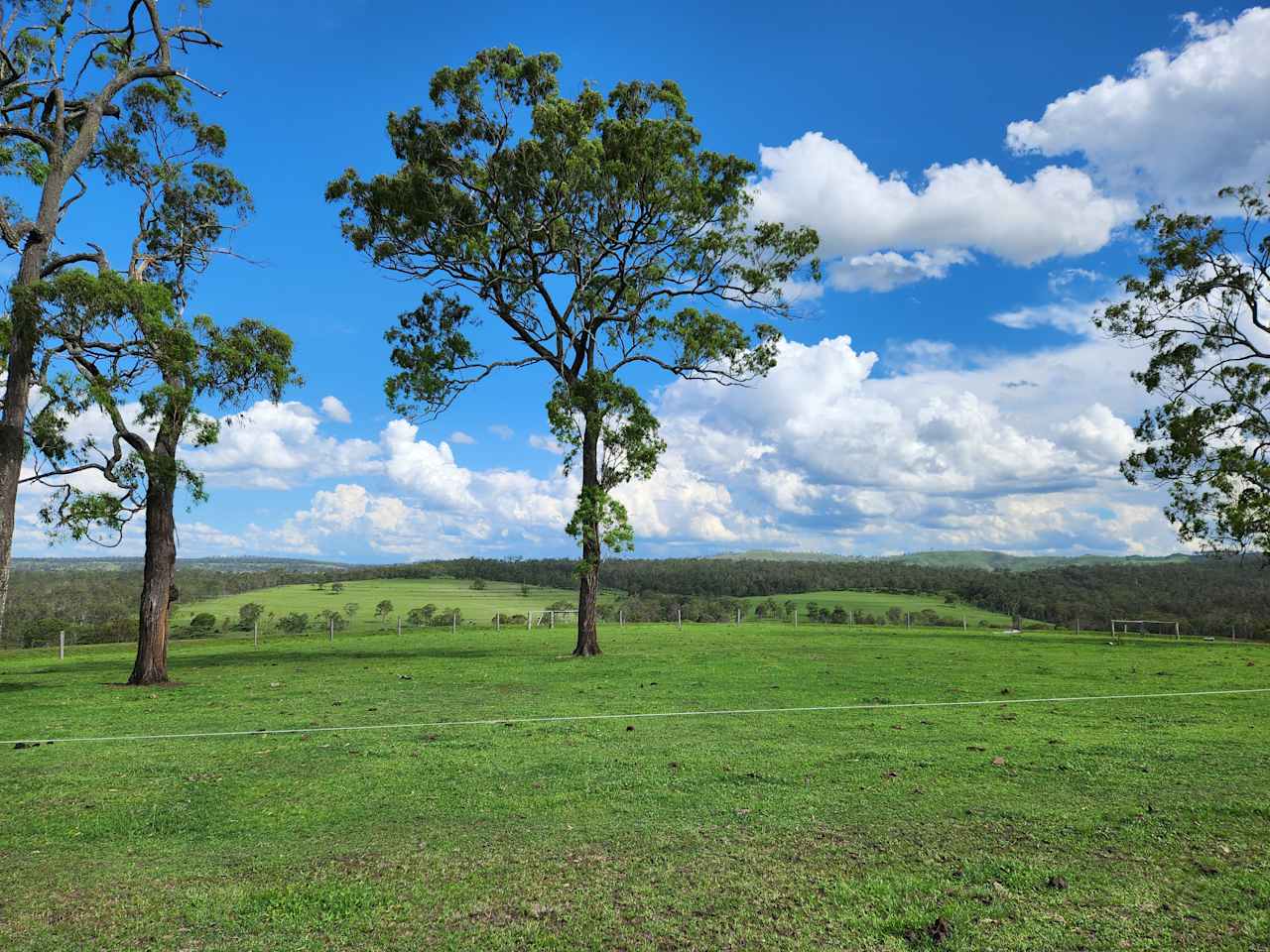 Tinara, 200 acre cattle farm 