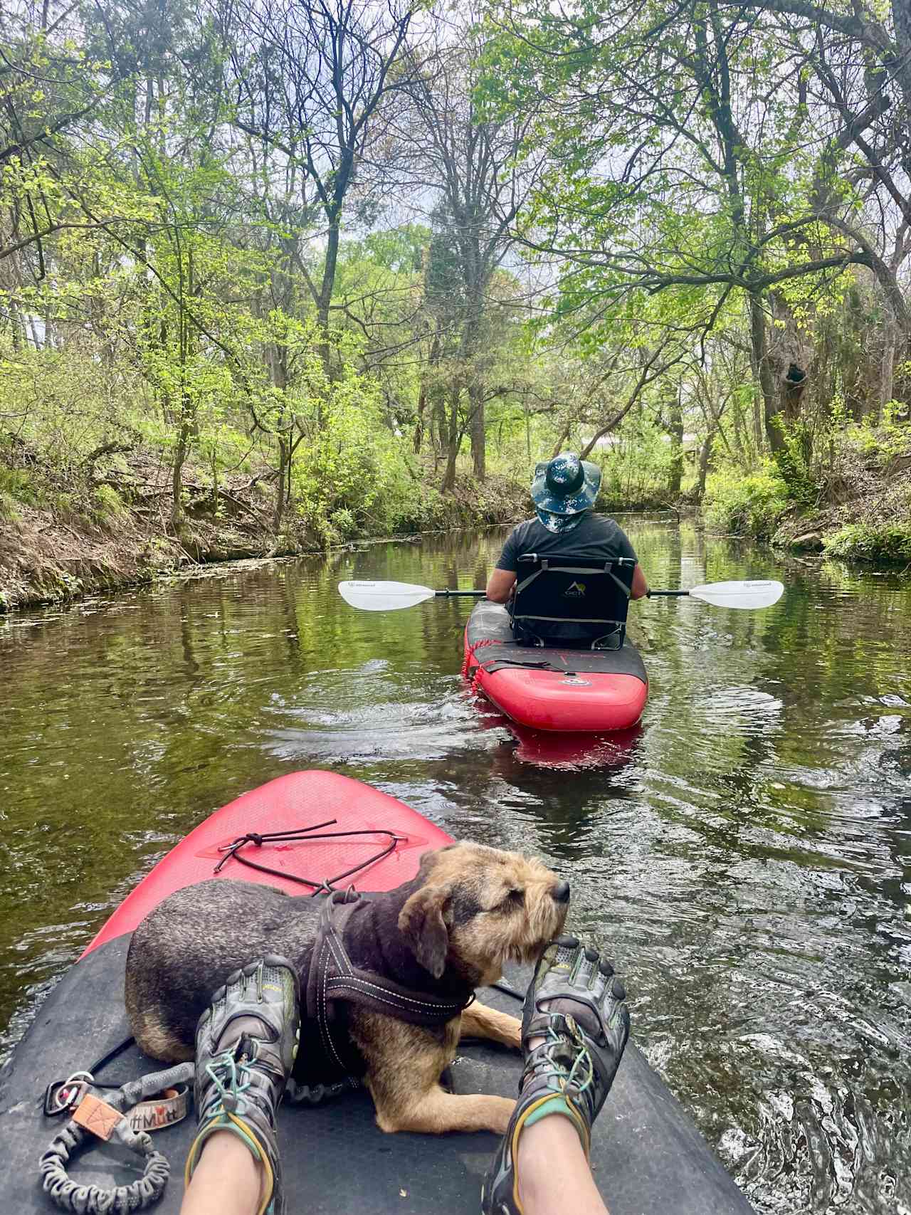 Behind the campsite.