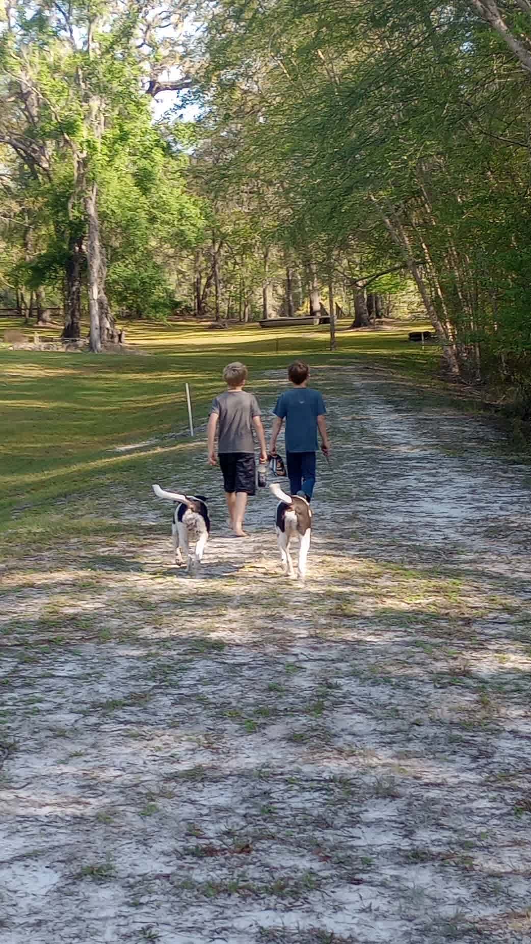 Suwannee River Green Acres