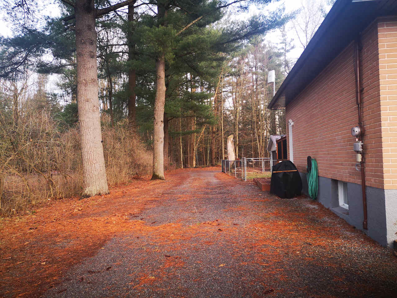 You'll have to pass the house and a somewhat narrow section between the fence and the tree. Please back up all the way to the corner of the property