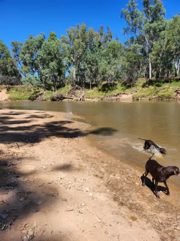 Goulburn Downs