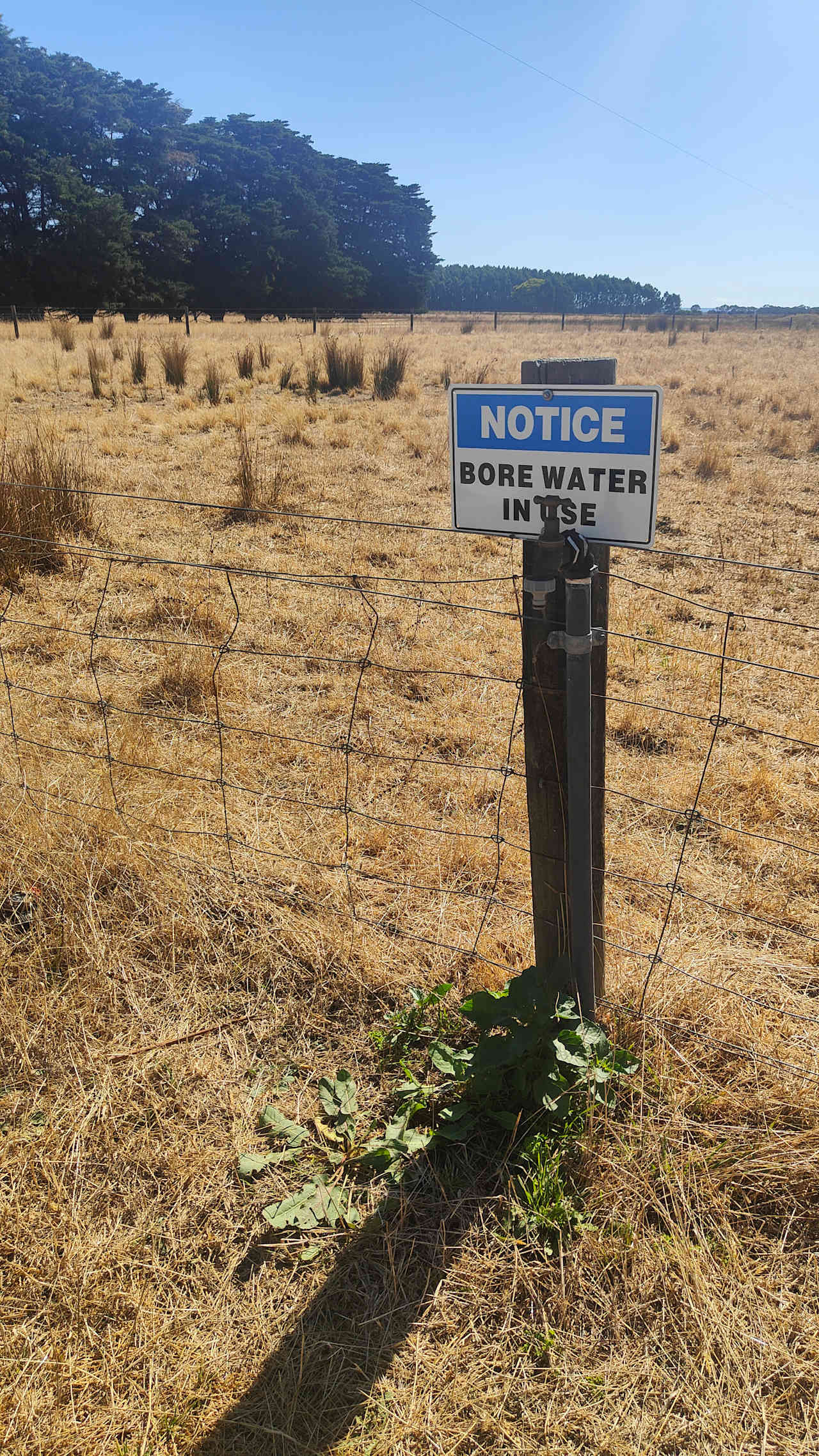 Bore water tap for dishwashing