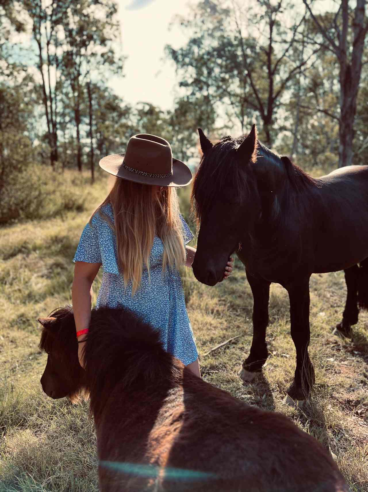 The Ranch on Clarence