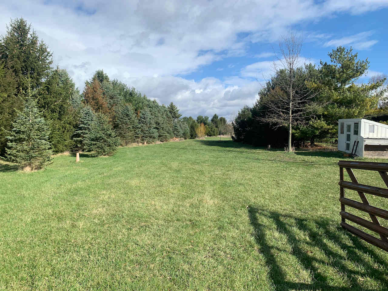 BubbaSchottMiles Farm West Pasture