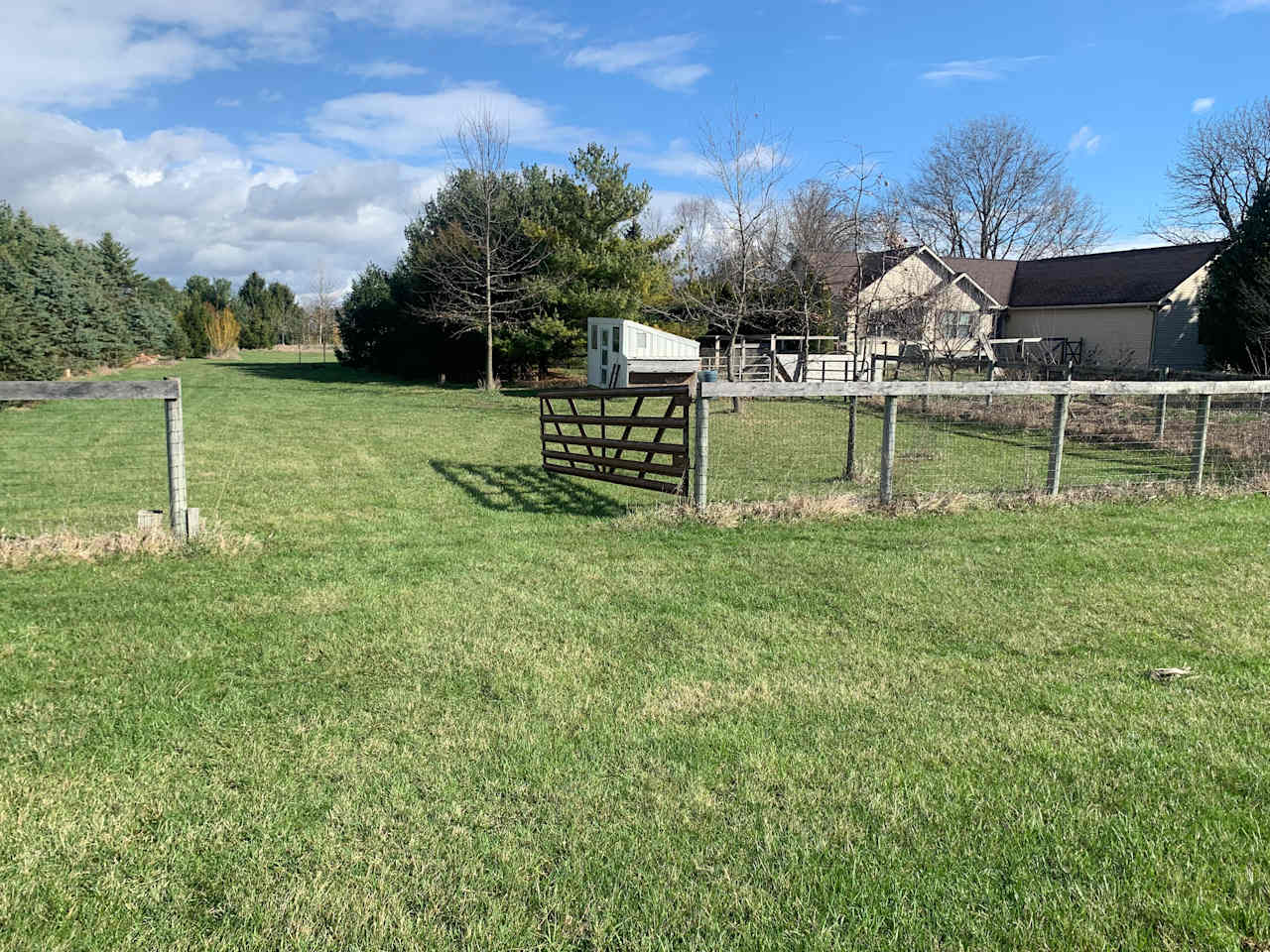 BubbaSchottMiles Farm West Pasture