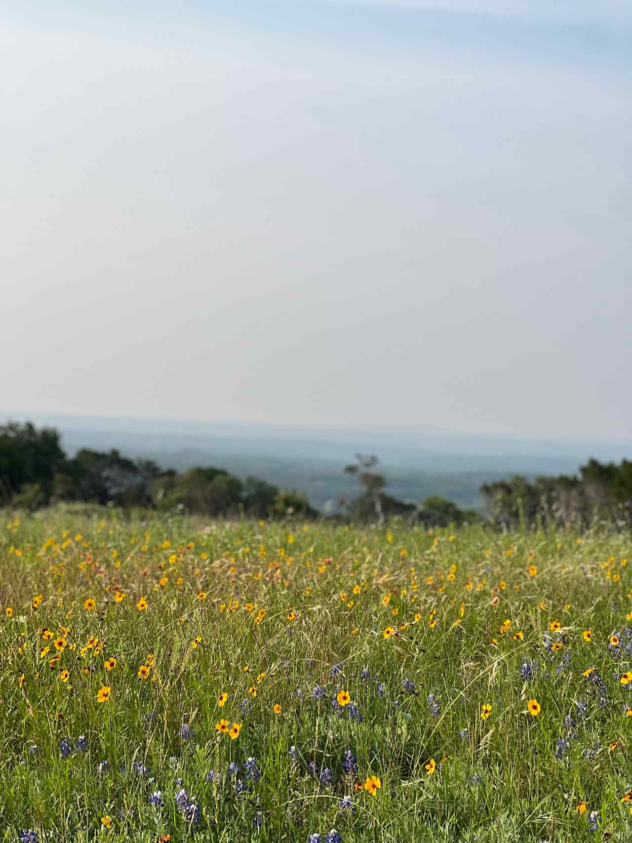 High Hope Ranch