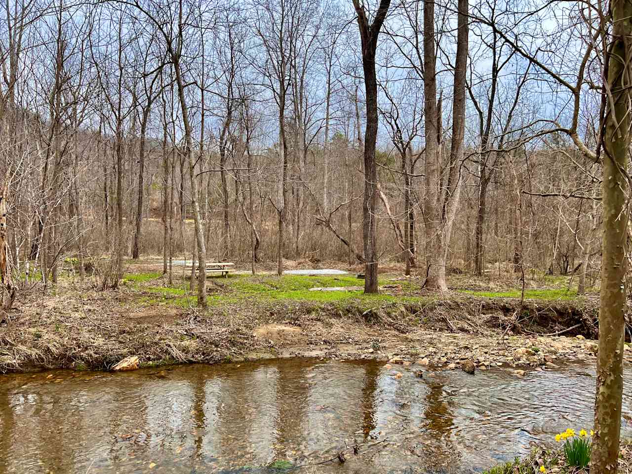 TangleWood Creekside Campsites