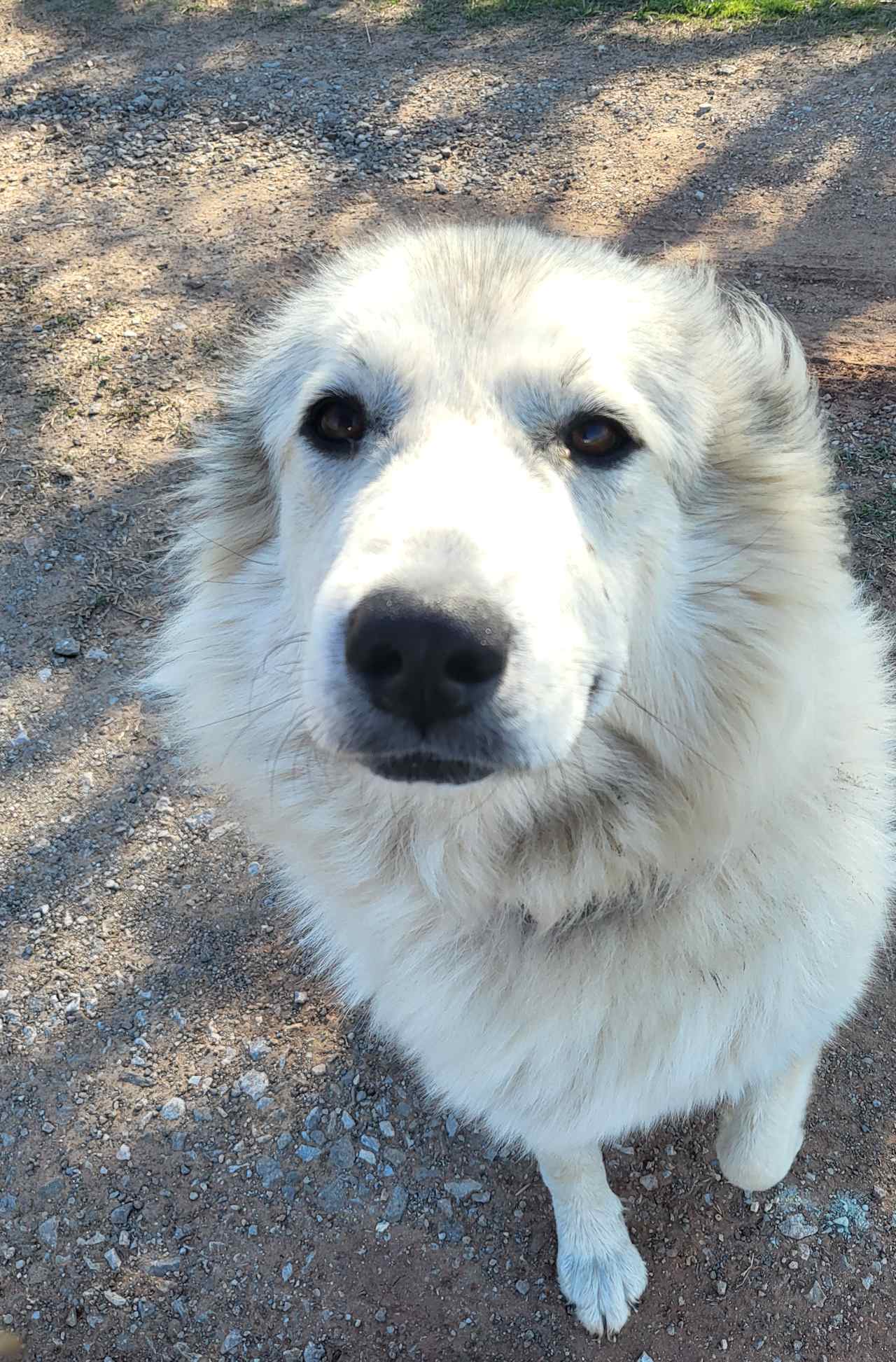 This sweet face greeted us this morning ♡♡