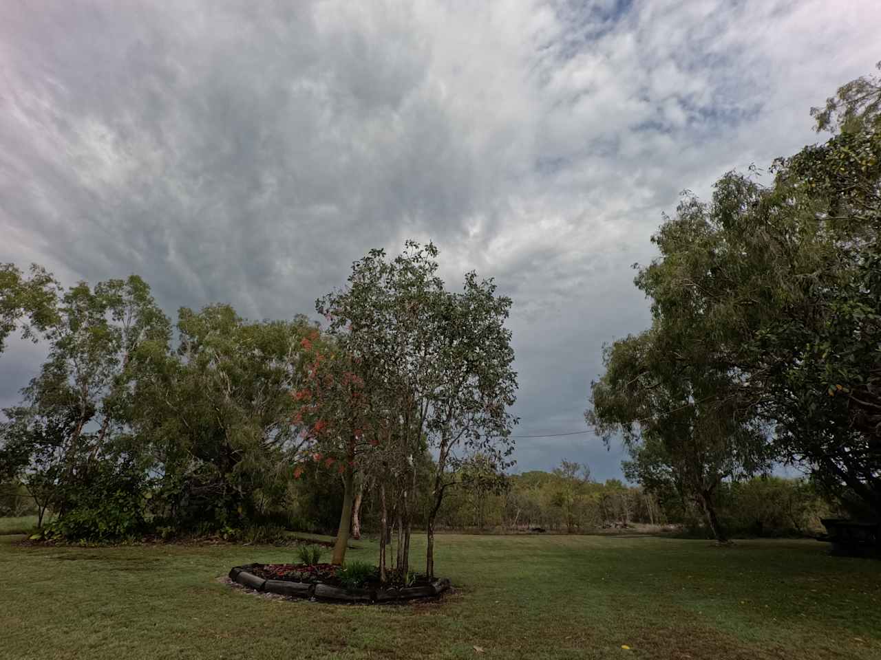 Wetland Walkabout Native Sanctuary