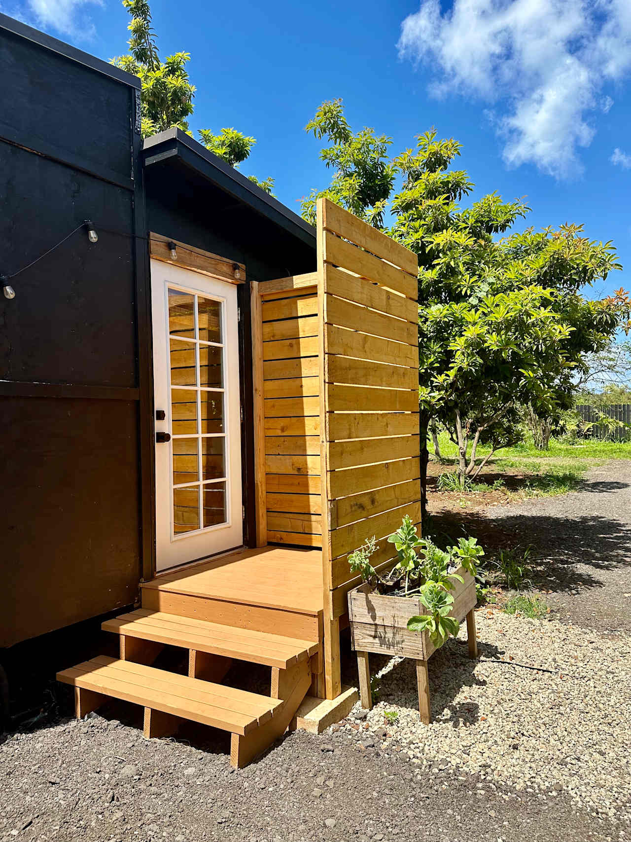 Mount Ka'ala Cabin