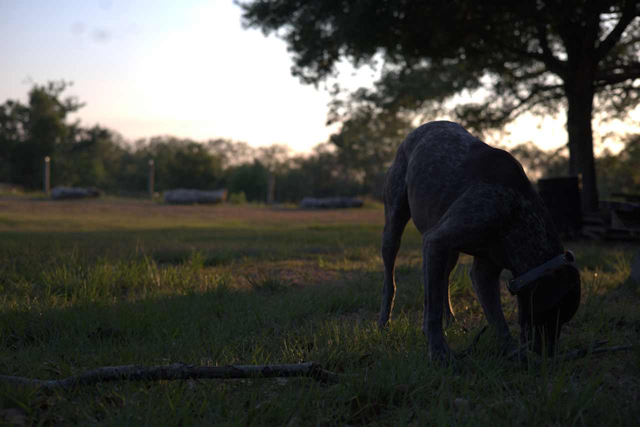 Saint Lucie Farm Preserve