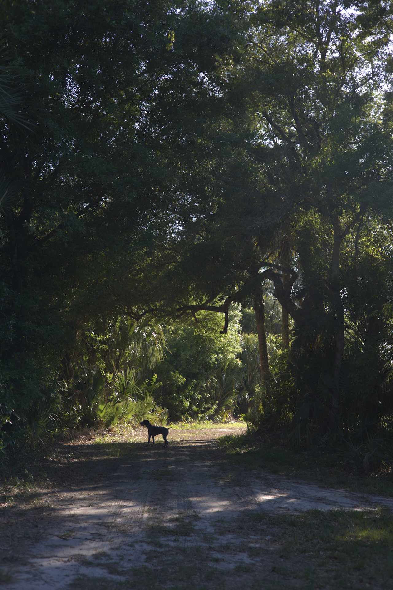 Saint Lucie Farm Preserve