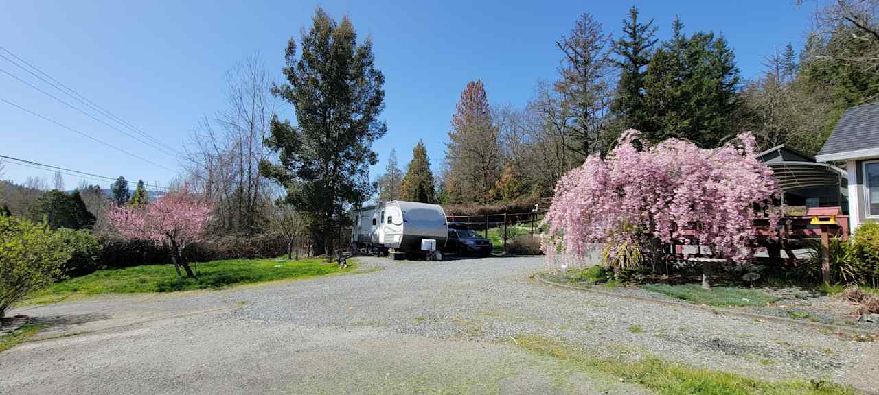 New Hope Homestead