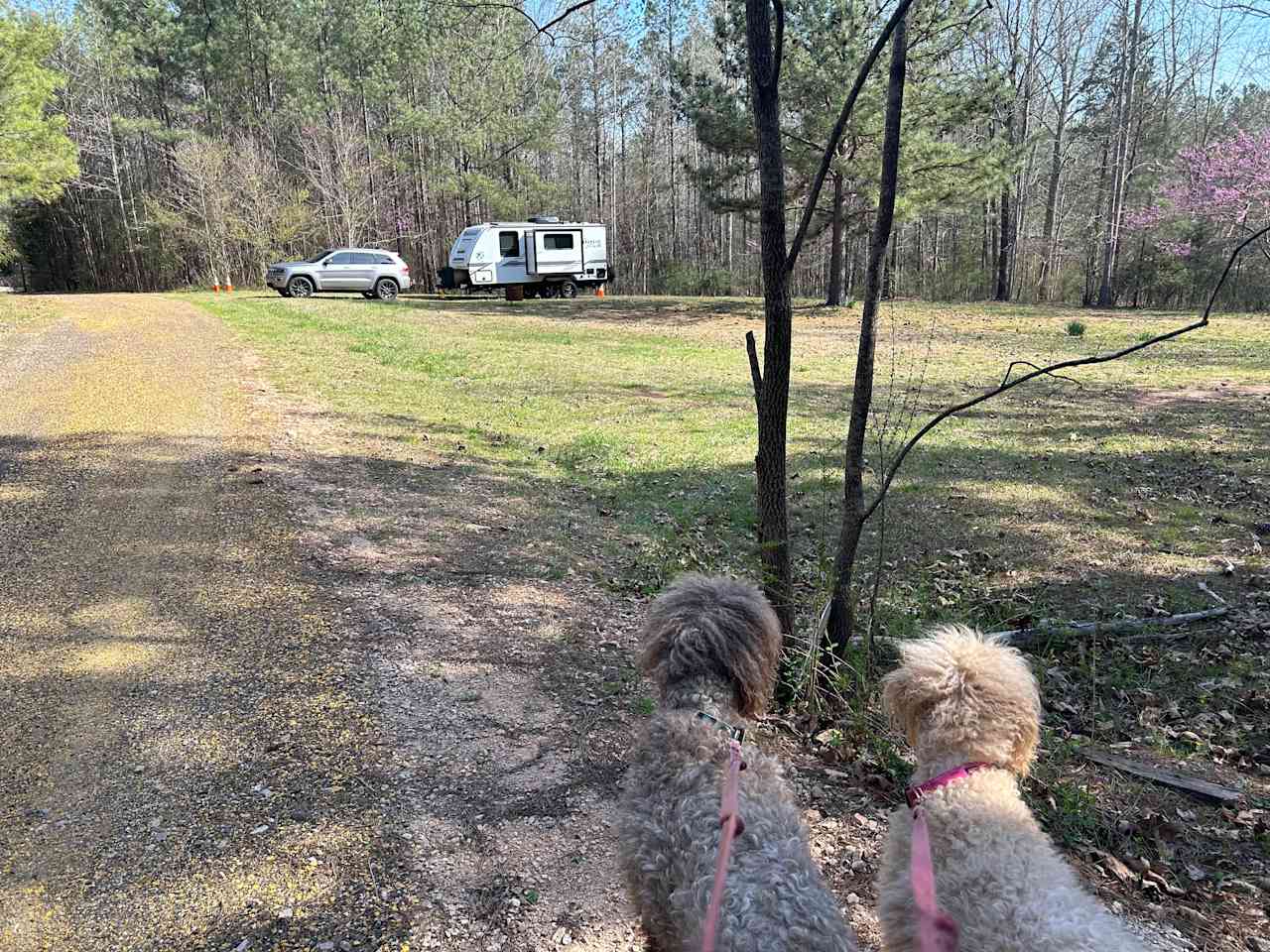 Black Walnut Farmstead
