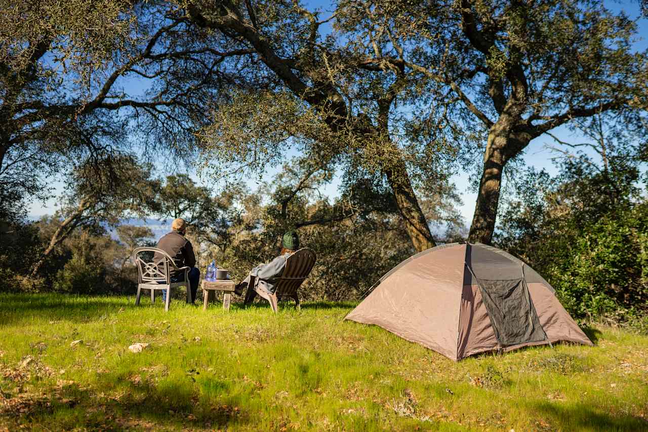 Camping on the Beach: A Comprehensive Guide to Pismo Camping