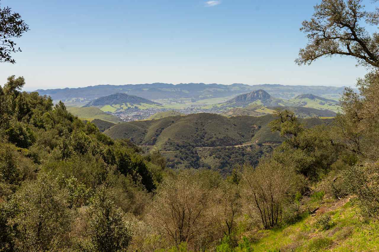 View of SLO from the entrance