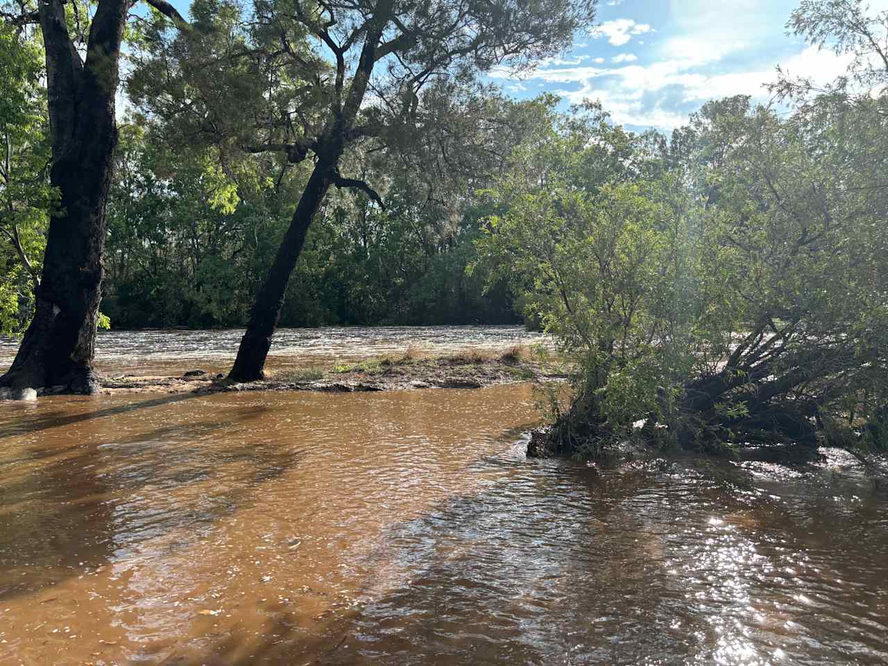 Normanby Rd Nature Bush Camp