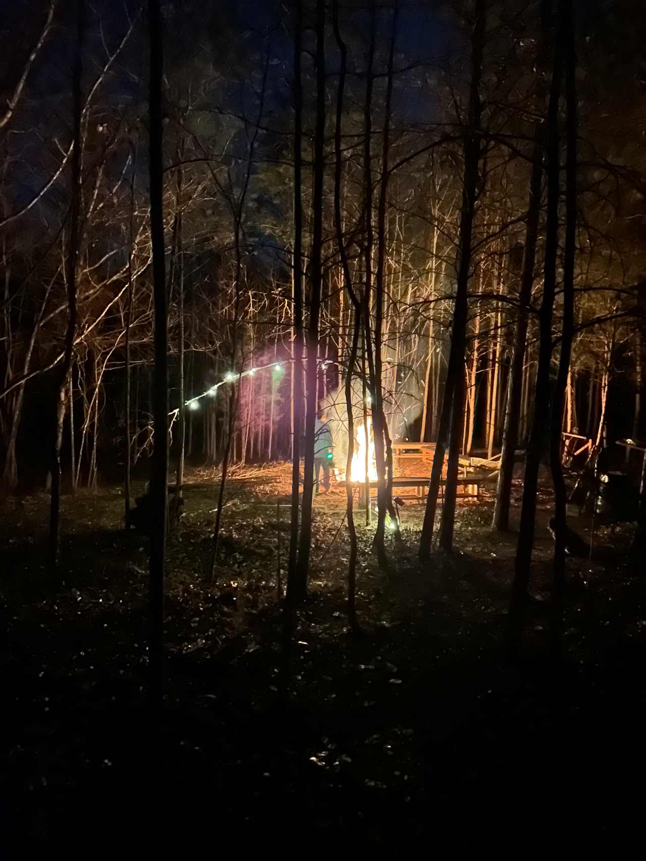 Living Woods on Ridgecreek