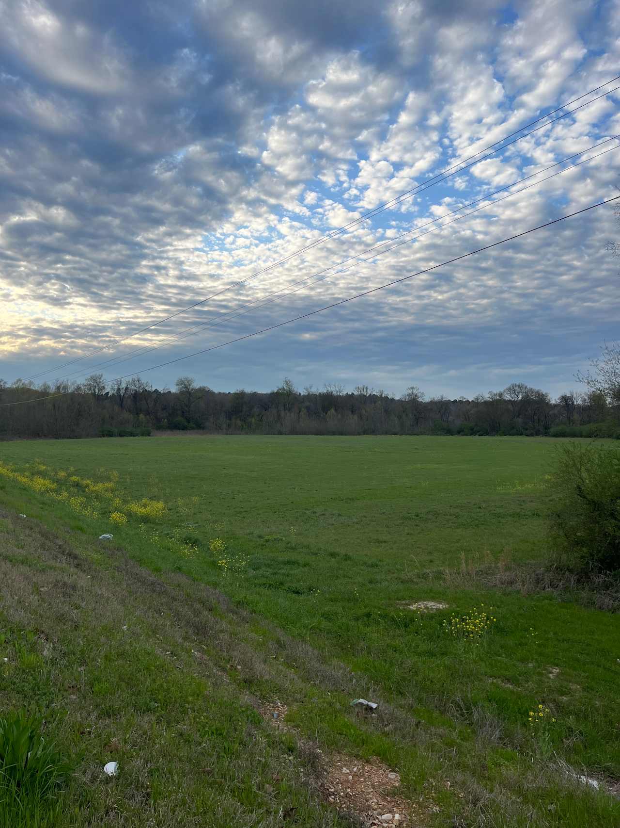  Our wide-open field with a beautiful view of the magnificent southern sky. The sunsets are epic.