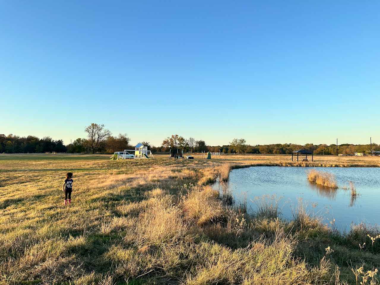 Sulphur Springs Meadow Camp