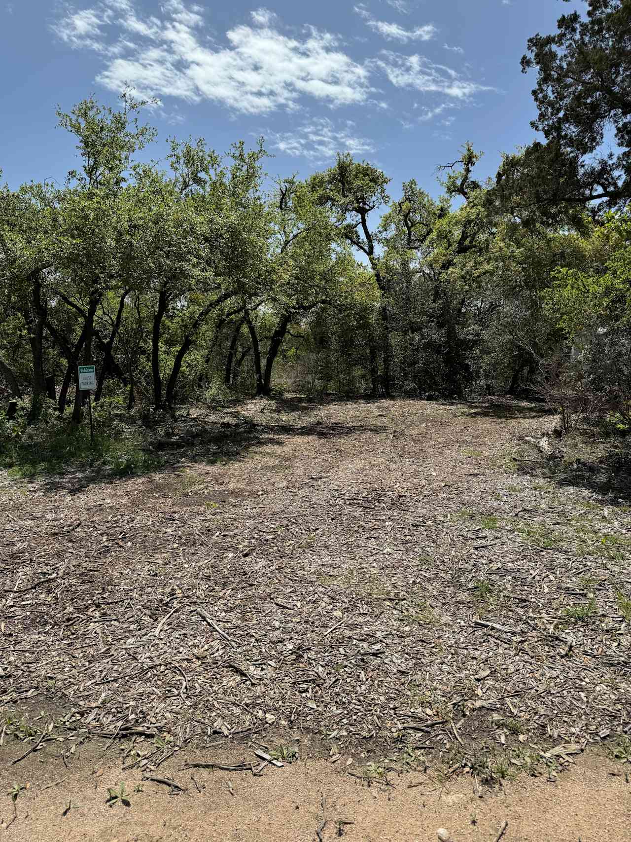 Texas Honey Bee Farm