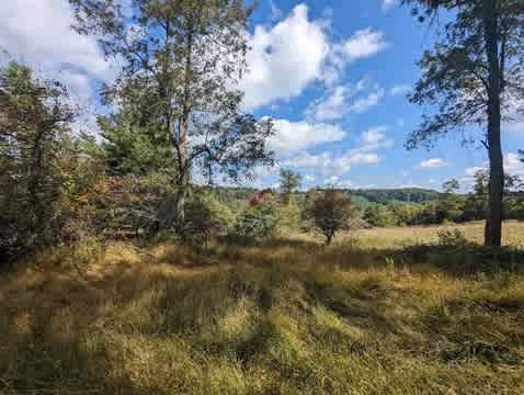 Muddy Creek Campground and Farm