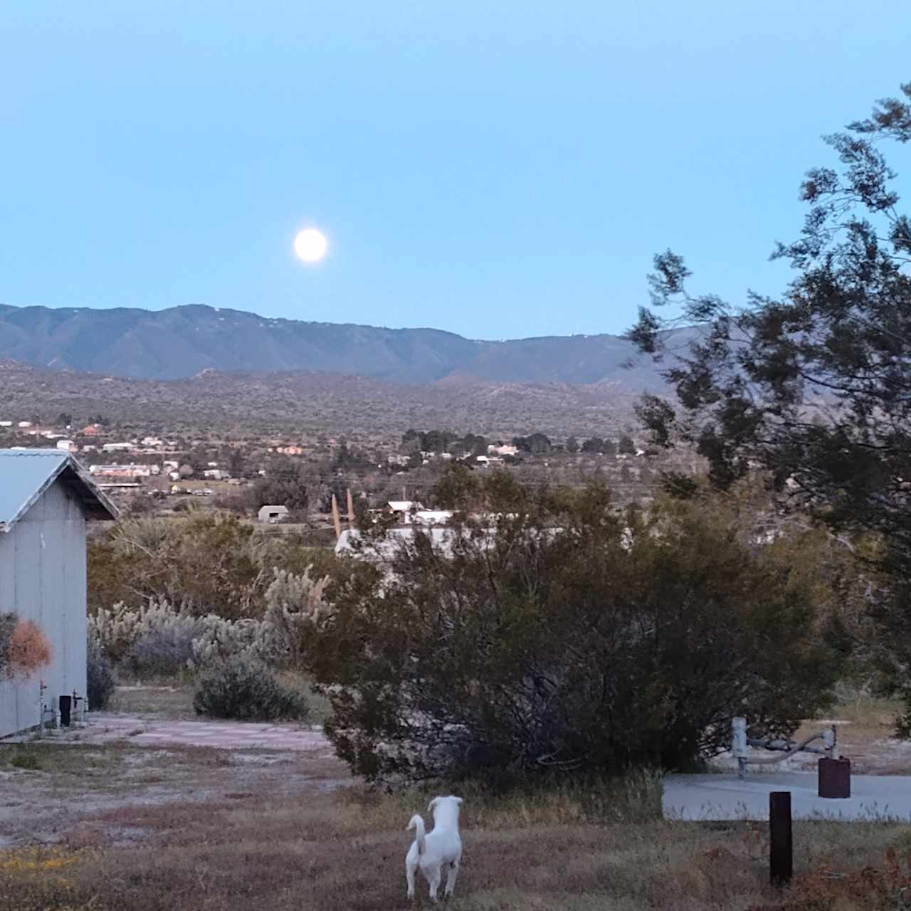Ranch Devlin, Selling Sunsets