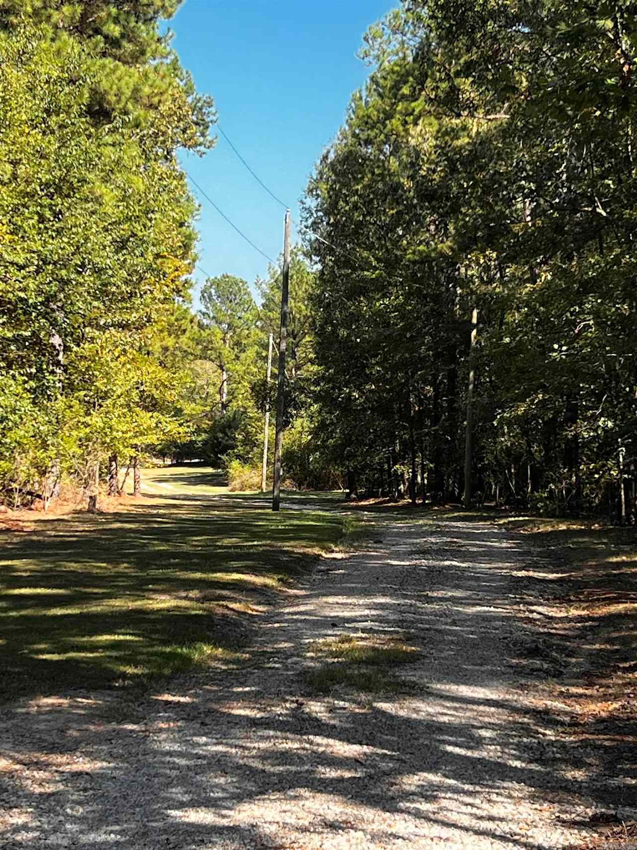 Old Bear Campground