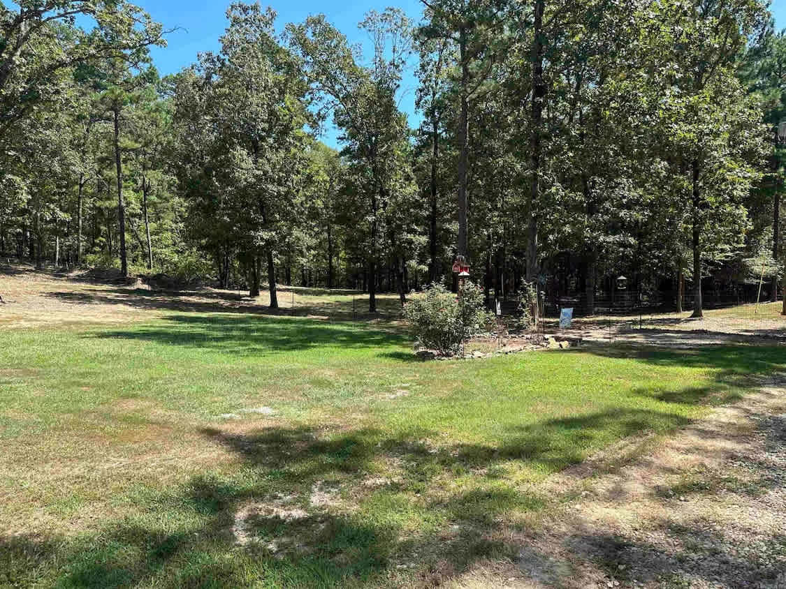 Old Bear Campground