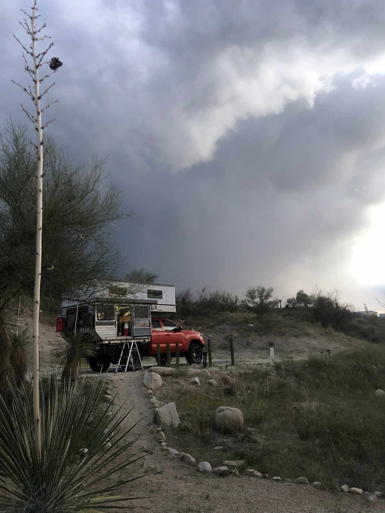 Freedom in the Catalinas