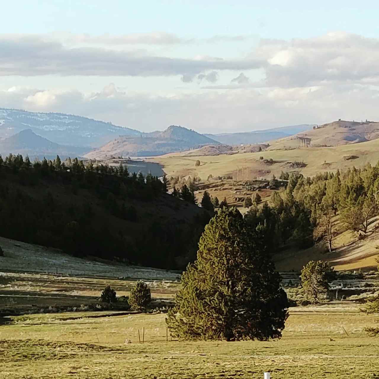 Shasta Valley Horse Ranch Adventure