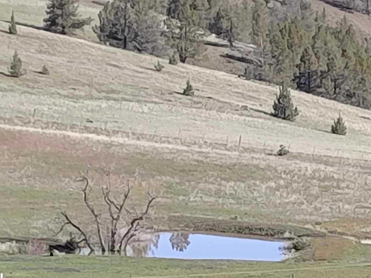 View of the pond in fall