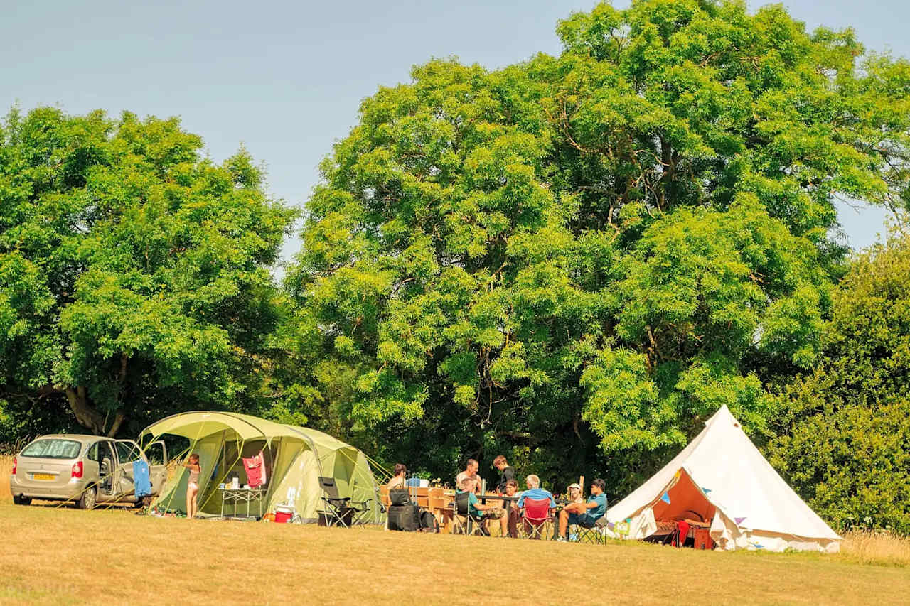 Bramley Park Camping