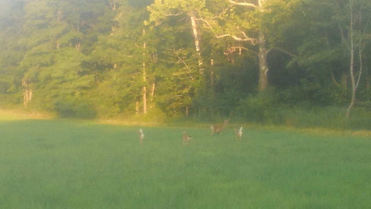 Elk Valley Creekside