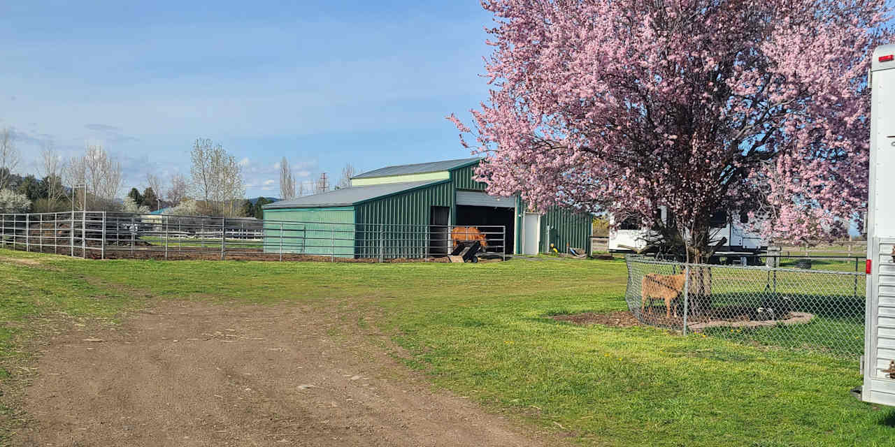 B-T-B Horse Boarding &  Hotel