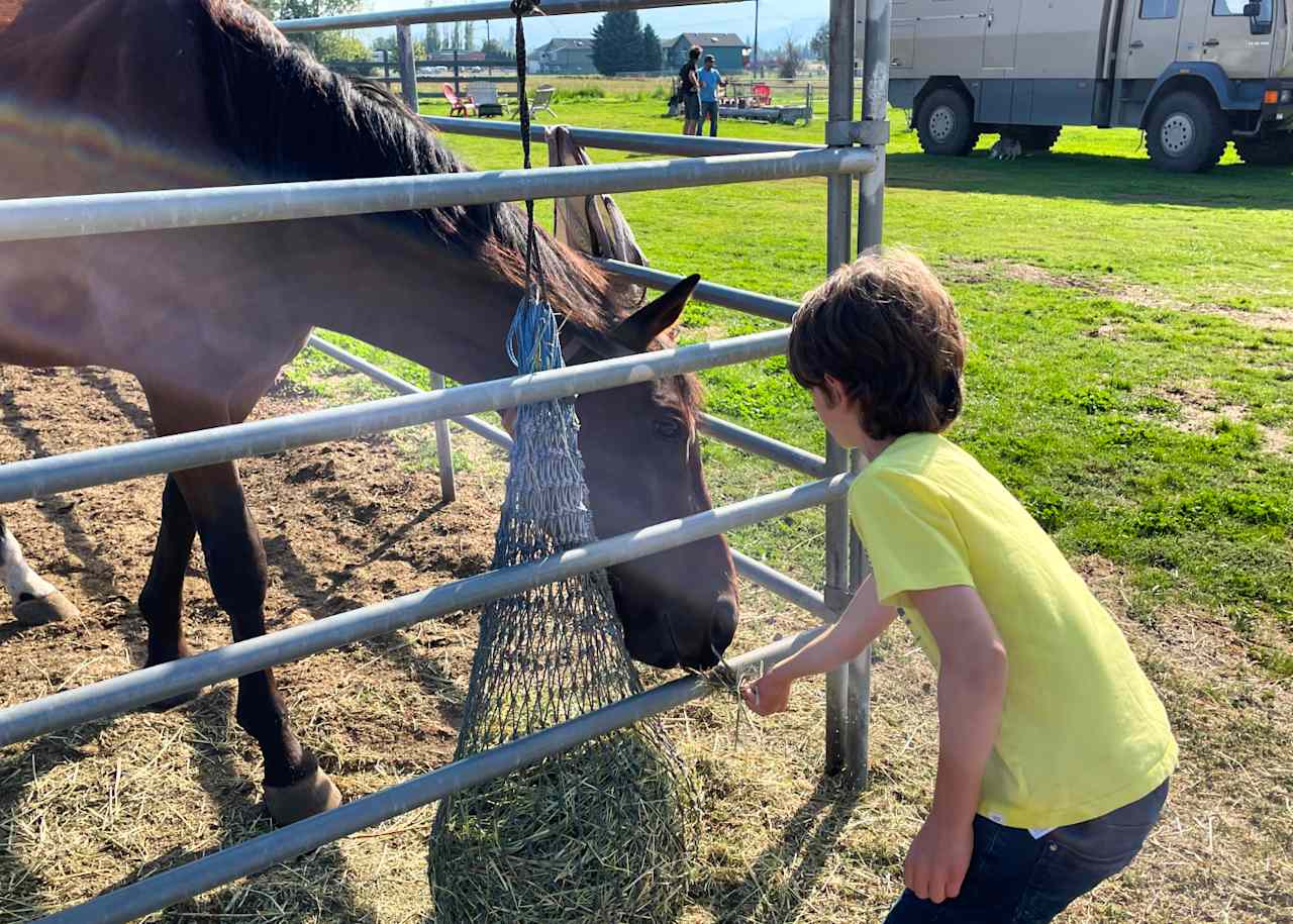 B-T-B Horse Boarding &  Hotel