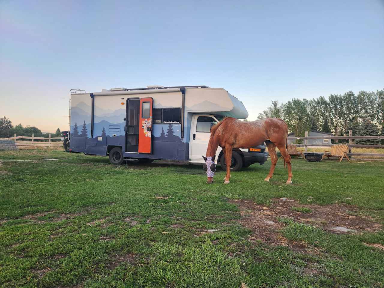 B-T-B Horse Boarding &  Hotel