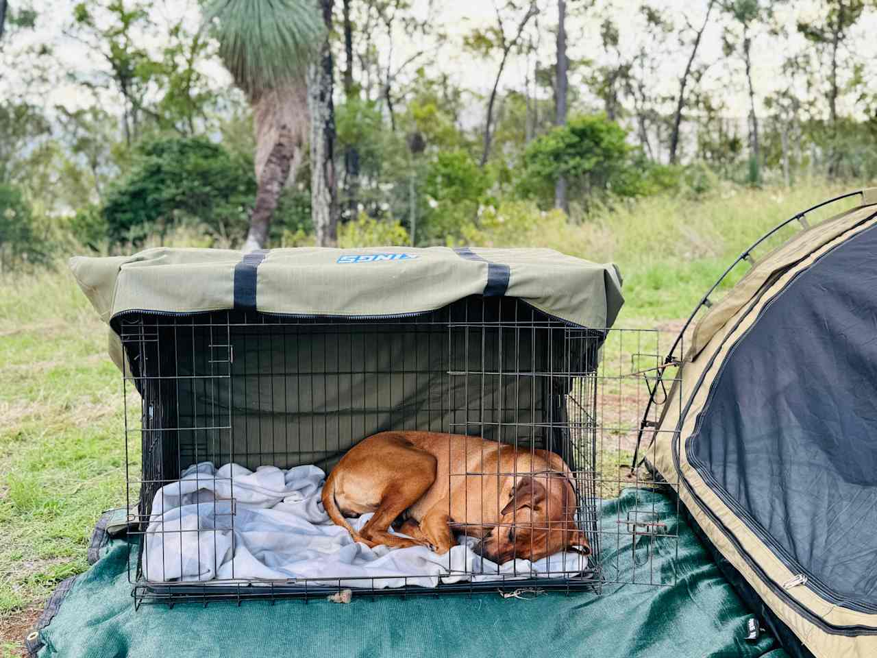 Somerset Dam Private Bush Camp