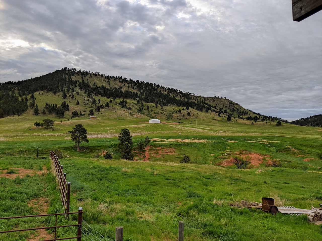 Working Homestead Farm & Dairy