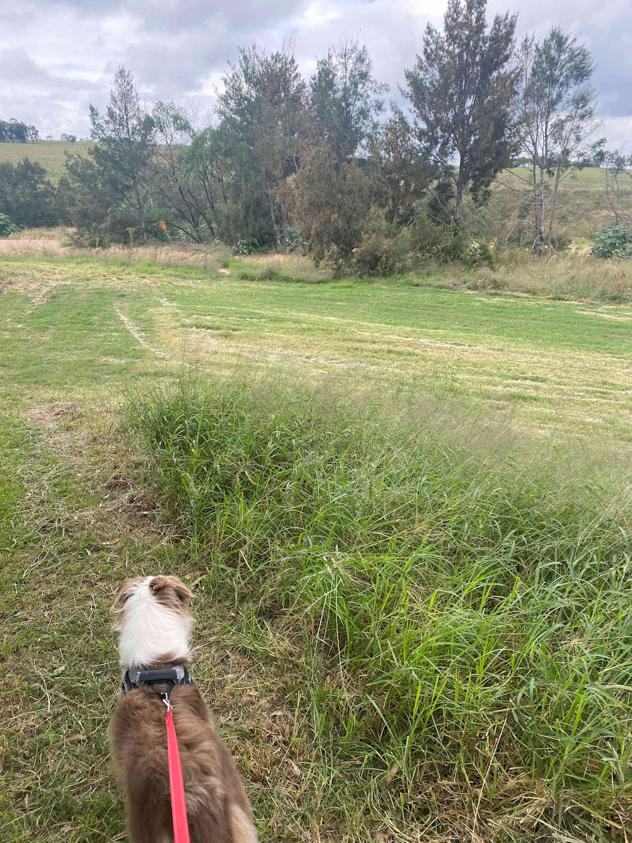 Camp on Hunter (Elderslie)