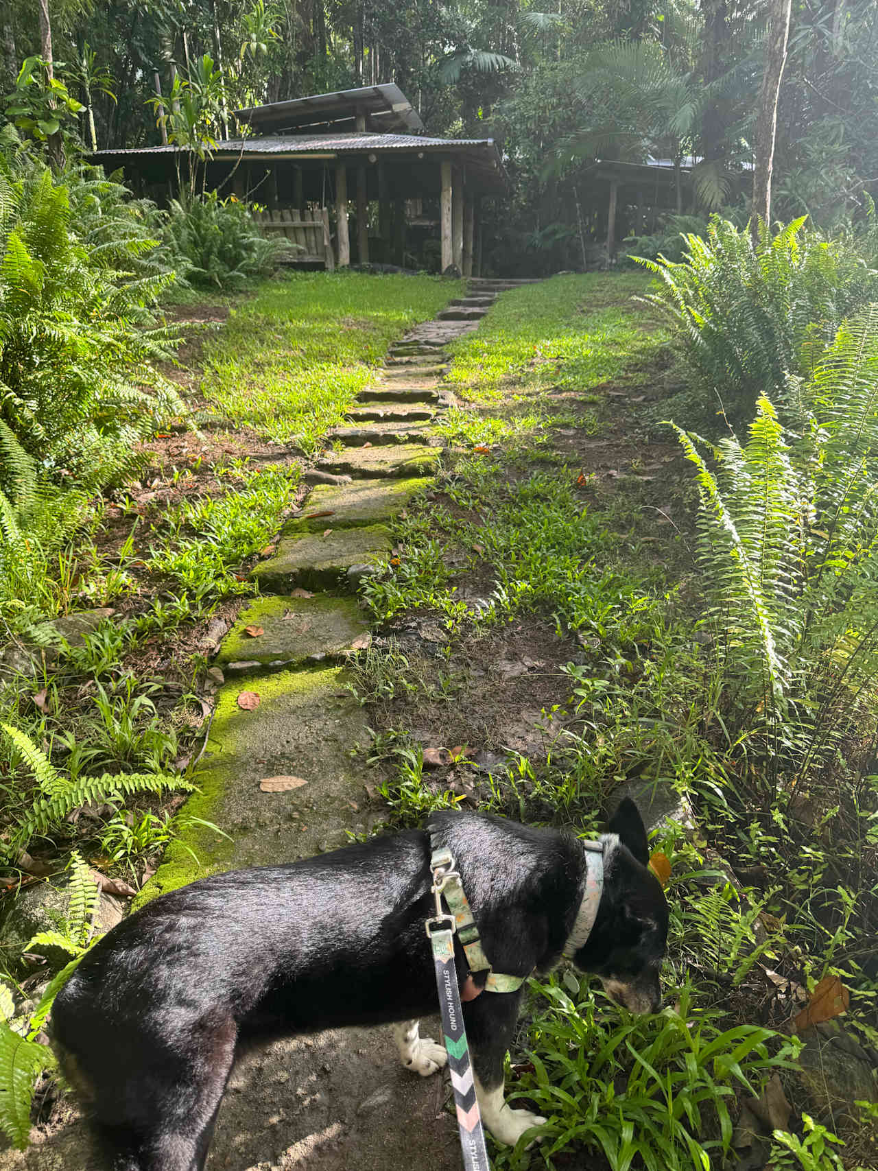 Platypus Bush Camp