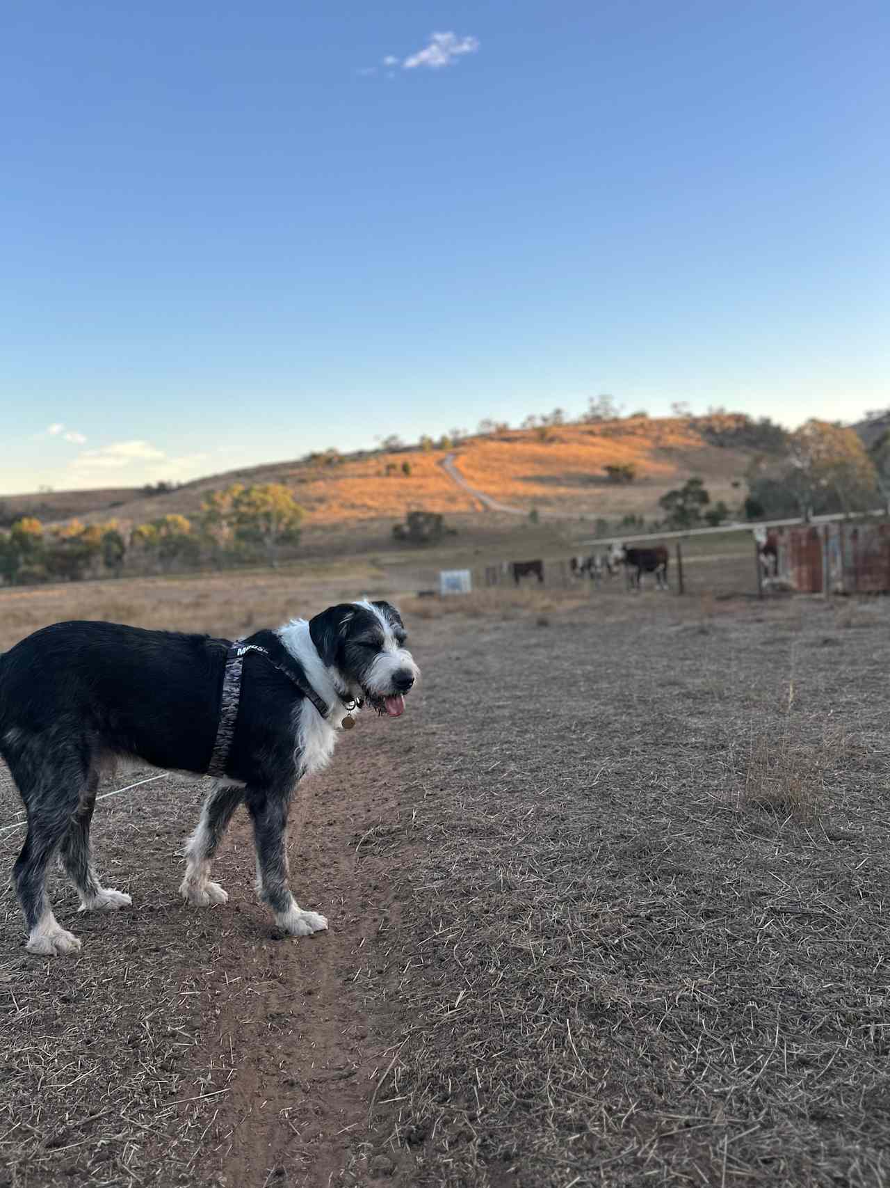 Gum Gully Heights, Rockleigh SA