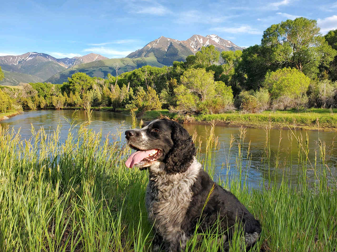 7 Point Guest Ranch And Campground