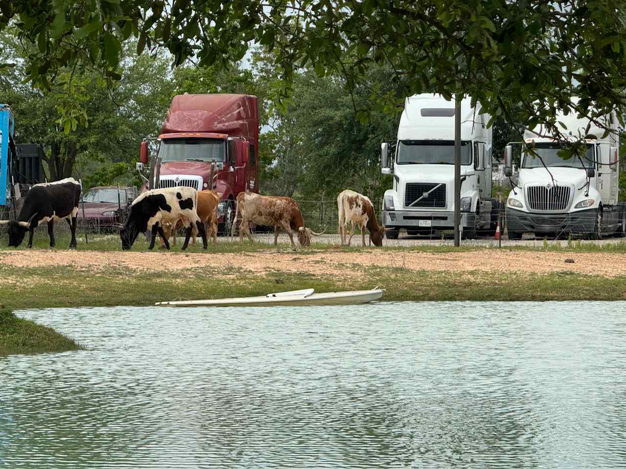 Turquoise Acres Ranch