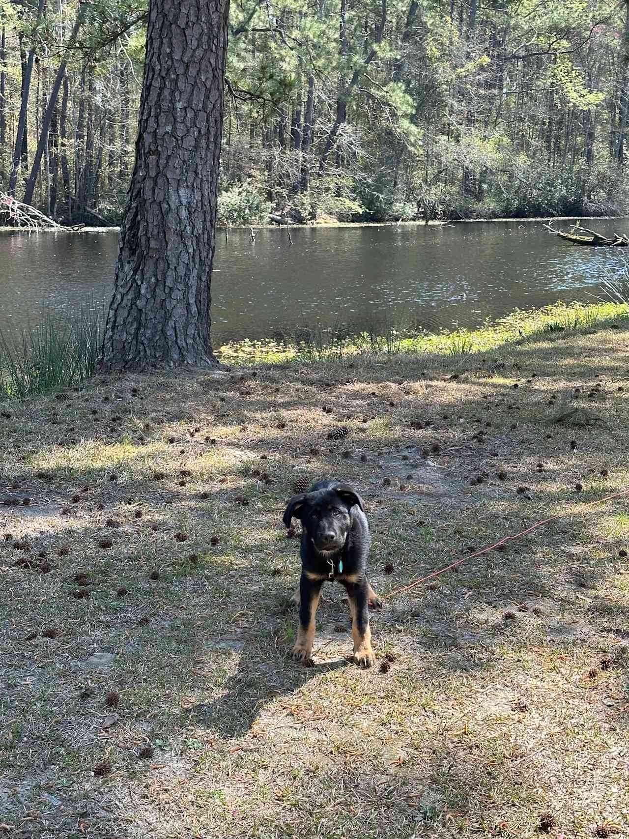Howle’s Camping