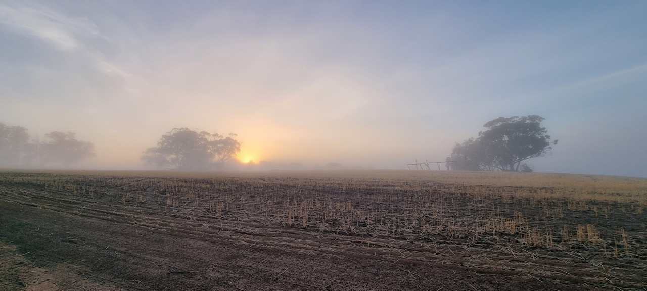 Misty morning views