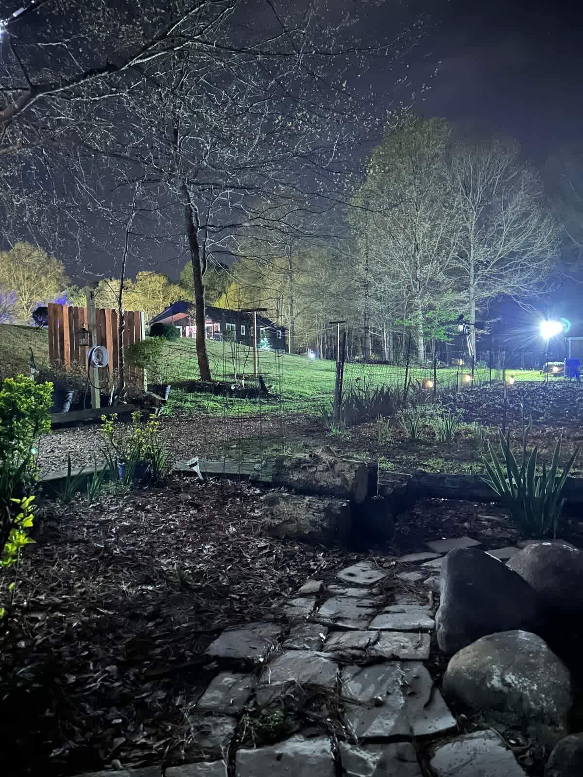Fishers Pond at the Treehouse