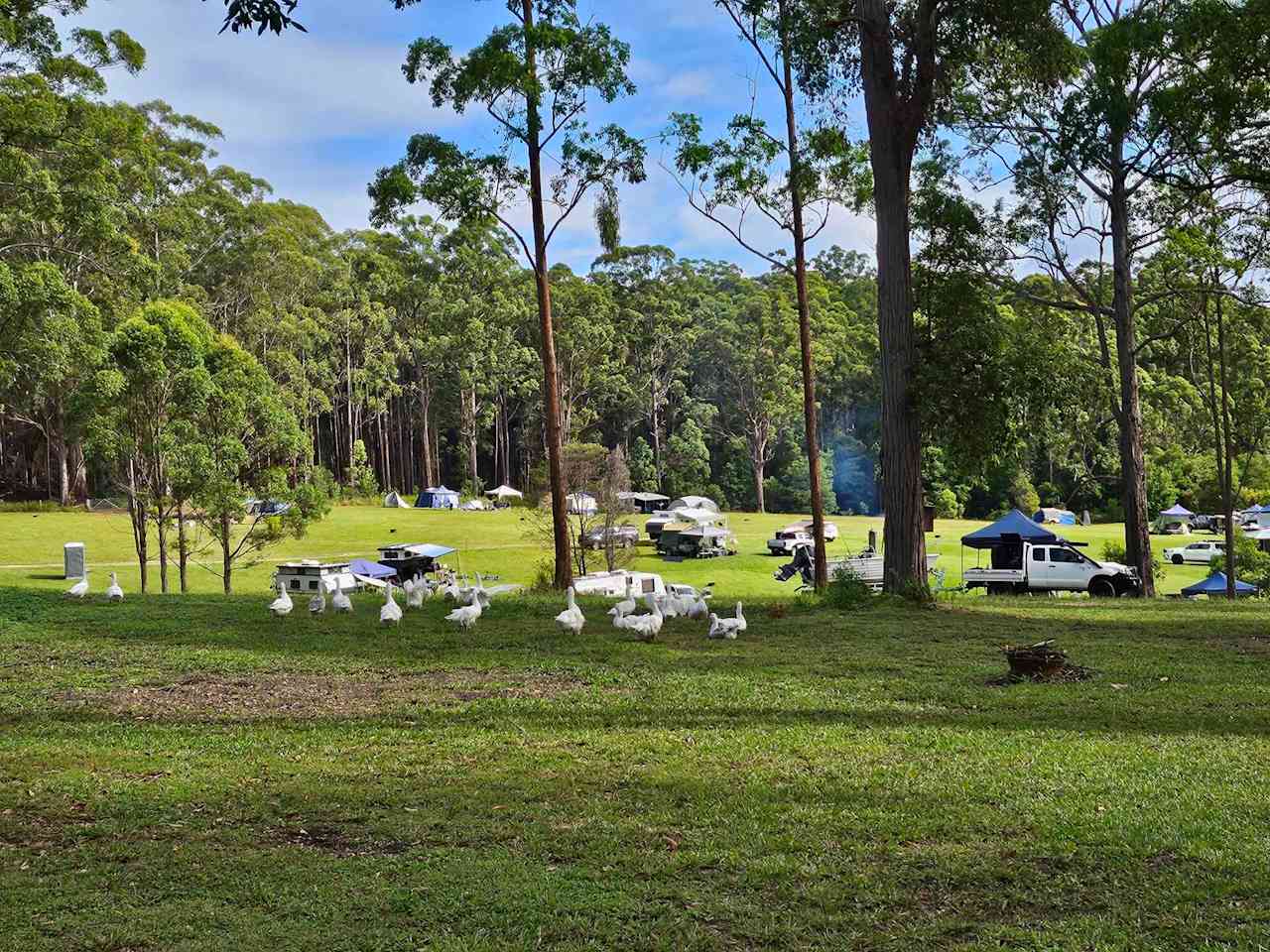 Coffs Harbour Camping & 4WD