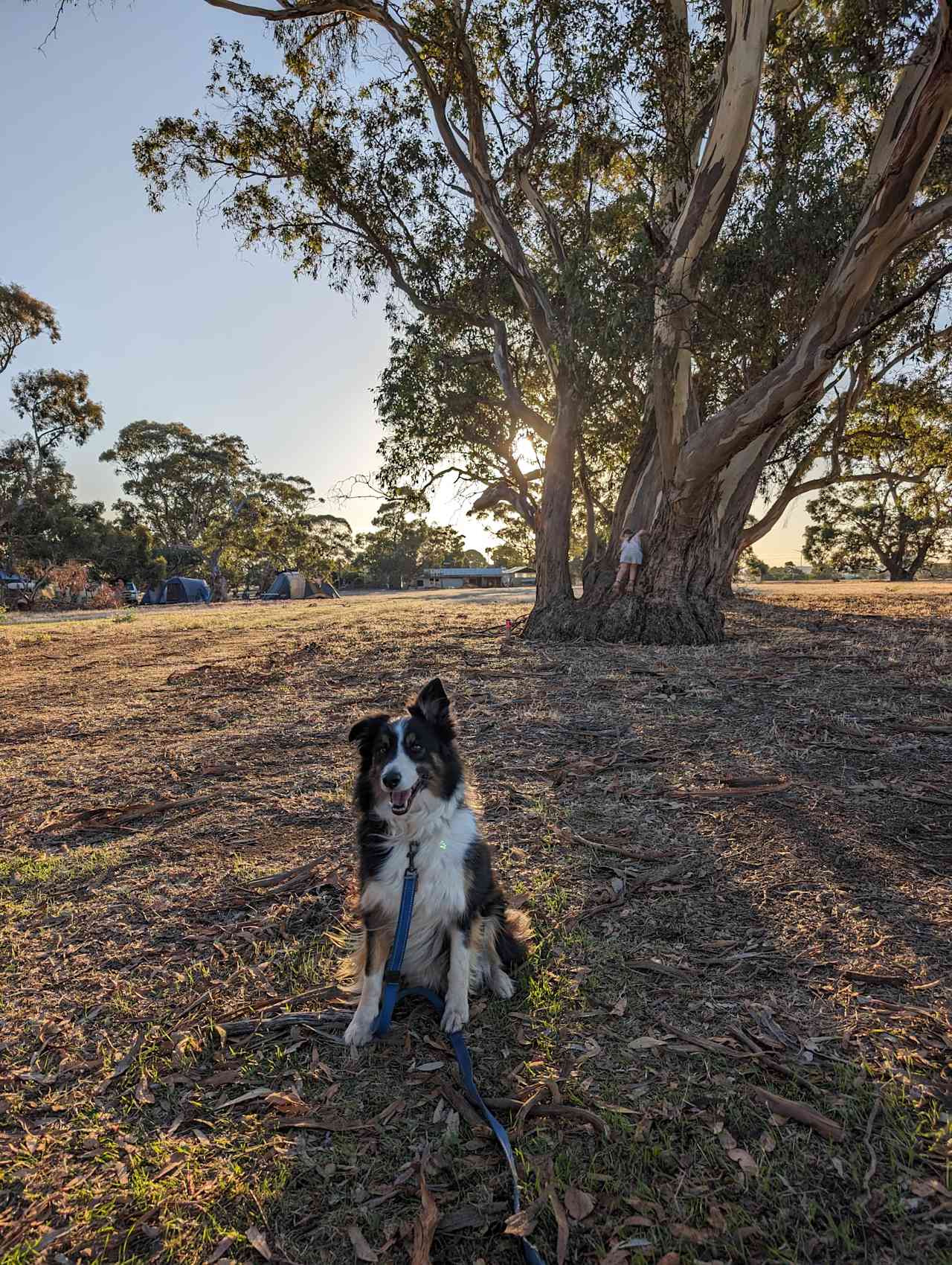 Cartapo Creek - Hobby Farm